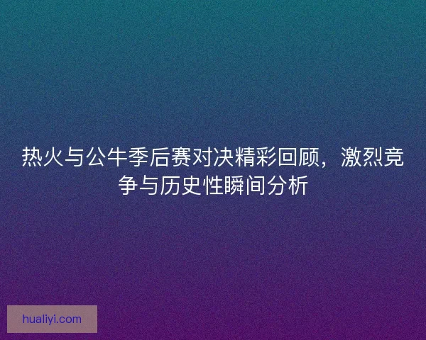 热火与公牛季后赛对决精彩回顾，激烈竞争与历史性瞬间分析